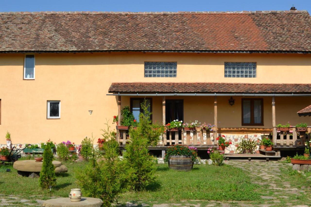 Casa Maria Apartment Cincu Luaran gambar