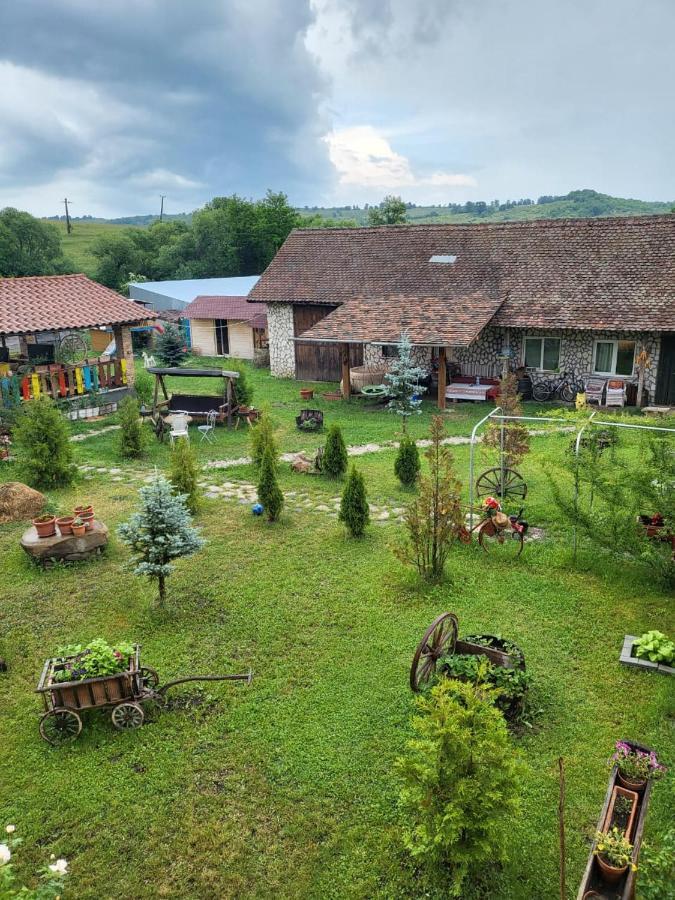 Casa Maria Apartment Cincu Luaran gambar