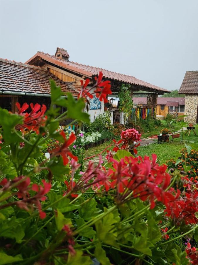 Casa Maria Apartment Cincu Luaran gambar