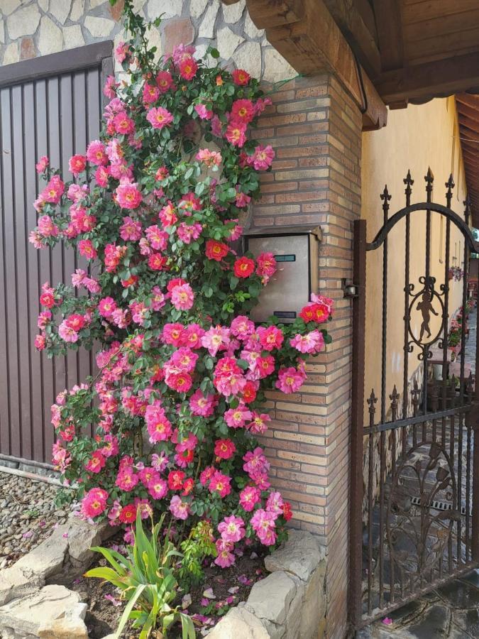Casa Maria Apartment Cincu Luaran gambar