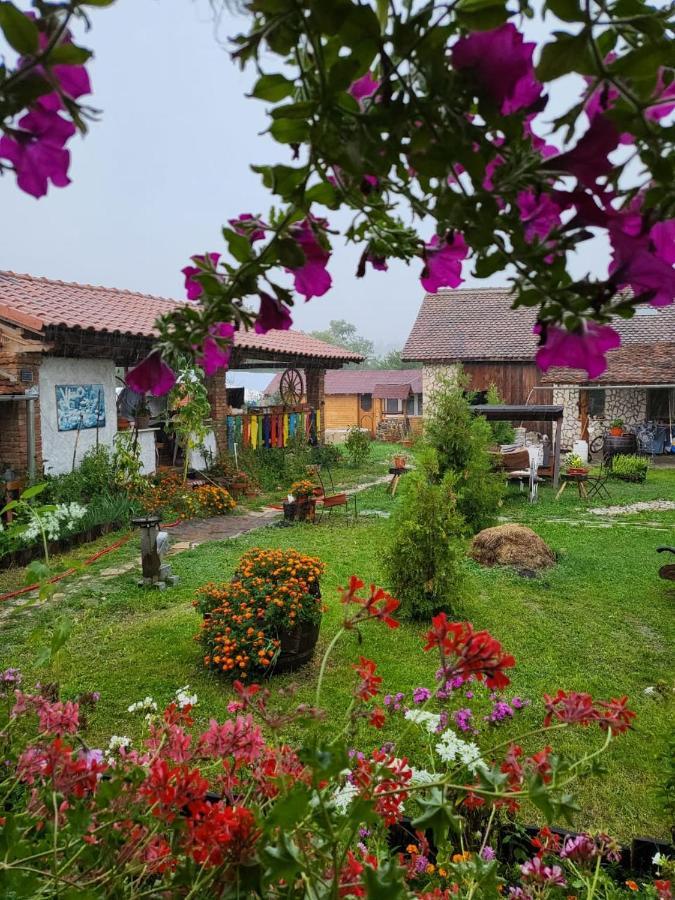 Casa Maria Apartment Cincu Luaran gambar