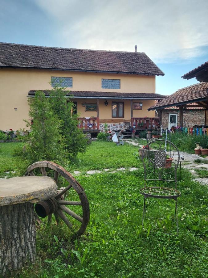 Casa Maria Apartment Cincu Luaran gambar