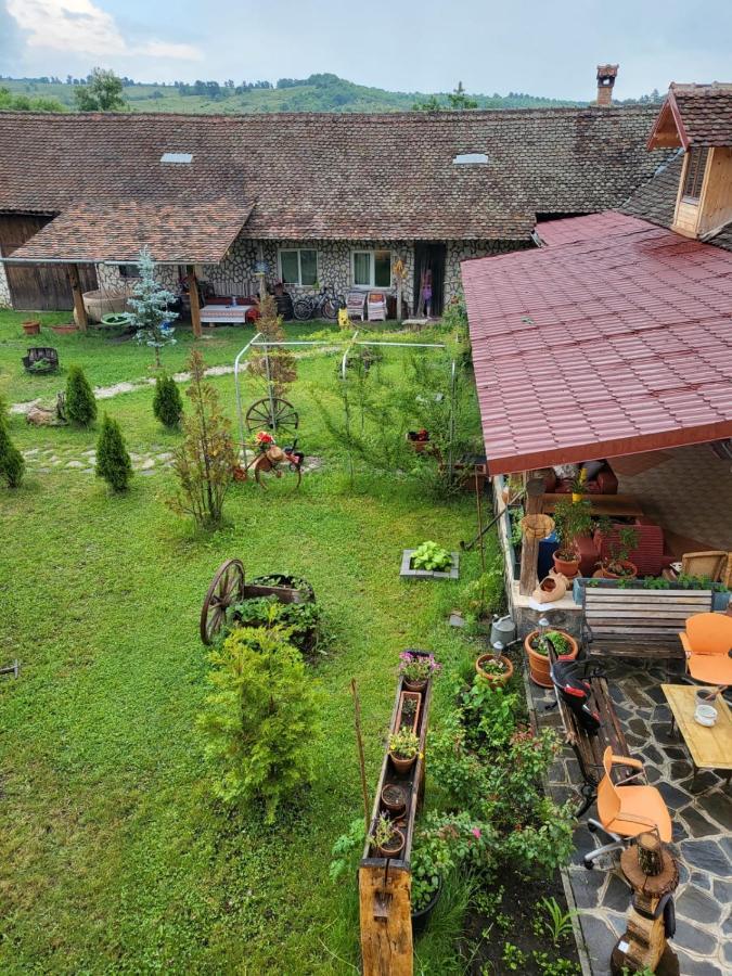 Casa Maria Apartment Cincu Luaran gambar