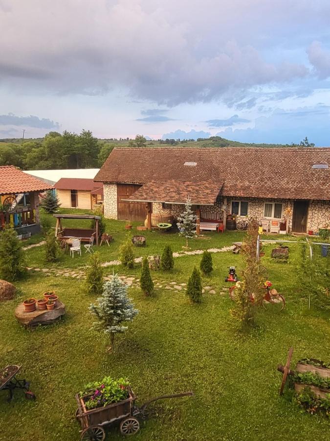Casa Maria Apartment Cincu Luaran gambar